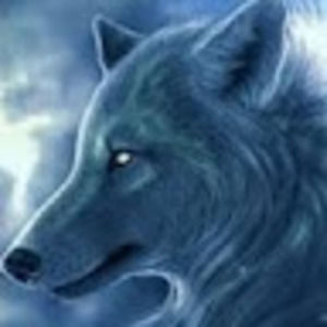 Meet your Posher, Chey